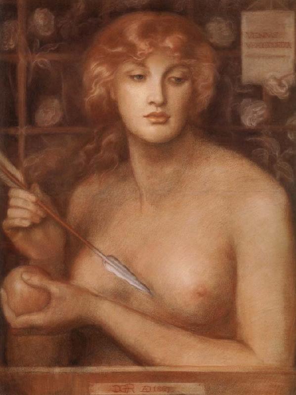 Dante Gabriel Rossetti Venus Verticordia oil painting image